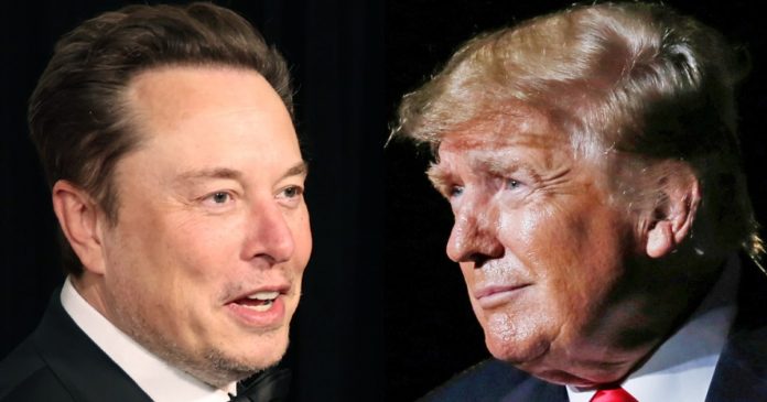 Trump-Musk live X event delayed by technical difficulties