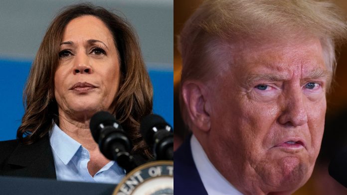 Team Harris Is Well Aware a Bad Debate With Trump ‘Could Cost Us the Election’