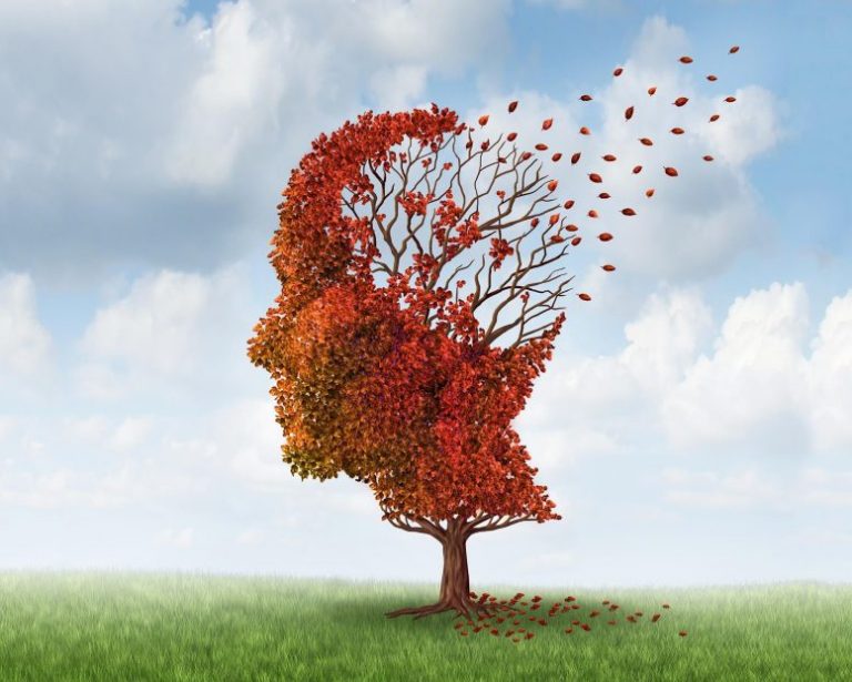 Scientists Identify Key Lifestyle Factor Linked to Cognitive Decline Among Older Adults