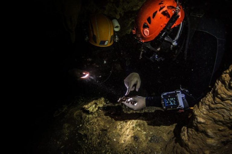 10,000-Year-Old Cave Fossils Reveal Secrets of Mysterious Lost Caribbean Monkeys